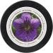Napiers Foot Recovery Cream for Dry Cracked Skin - 100ML - Buy Online on GoSupps.com