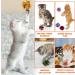 Molain Cat Crinkle Ball Toys 20 Pieces Colorful Cat Toy Balls Cat Play Toy Indoor Cats Interactive Ball Toy Large Ball Toy for Cat Kitten 6 cm/2.36 inch - Buy Online on GoSupps.com