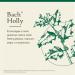 Bach Original Flower Remedies Holly - Goodwill Towards Others - Natural Homeopathic Flower Essence for Emotional Balance - Vegan Gluten Free Sugar Free - 20mL Dropper - Buy Online on GoSupps.com