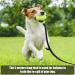 Fingertoys 5m Waterproof Dog Leash | Hand Loop & Mains Bag | Perfect for Training All Dog Sizes - Buy Online on GoSupps.com