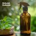 Healing Solutions Organic Eucalyptus Essential Oil 16 Fl Oz Pure Eucalyptus Oil for Diffusers Sprays and Candle Making - Buy Online on GoSupps.com