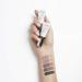 Buy Talika Eye Shadow Lift Carbon Nursing Cream - Smokey Eyes Anthracite Ton | Best Eyeshadow for Lifted Look | International Shipping Available - Buy Online on GoSupps.com