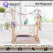 QBLEEV Parrot Playstand with Feeder Cups and Toys - Large Size (19 L x 13 W x 21 H) - Buy Online on GoSupps.com