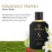 Nisara Men of the Night Perfume for Men - 100 ml | Long Lasting Eau De Parfum | Premium Perfume | Citrus-Chypre-Musky Fragrance | With Bergamot Lemon Orange Amber Wood Leather | Premium Perfume - Buy Online on GoSupps.com