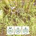 Organic Green Cardamom Pods - USDA Certified, Non GMO, Gluten Free - 4oz - India-Origin - 1 Count - Buy Online on GoSupps.com