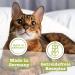 Catz Finefood N 5 Salmon & Poultry Wet Cat Food - 6x400g Cans - Refined with Spinach & Tomato | Premium International Shipping - Buy Online on GoSupps.com