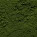 Biotiva Chlorella Powder Organic 500g - Chlorella Vulgaris - Algae - Packed and Controlled in Germany (DE-ECO-005) - Buy Online on GoSupps.com