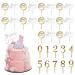 Acrylic Cake Topper 30PCS Happy Birthday Cake Topper Acrylic Cake Number 0-9 Birthday Cake Pick Cupcake Toppers for Birthday Party Cake Desserts Pastries Decorations
