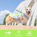 Kuoser Cooling Vest for Dogs - Breathable & Reflective Safety Jacket for Hot Summer Days | Ideal for Small & Medium Dogs - Perfect for Outdoor Activities & Training - Buy Online on GoSupps.com