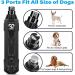 Casfuy 6-Speed Electric Dog Nail Grinder - Rechargeable Super Quiet Claw Scissors for All Dog Sizes - Buy Online on GoSupps.com