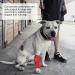 Dog Leg Protector Flexible Dog Leg Support Brace for Pet Dog (XL) XL Red - Buy Online on GoSupps.com