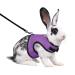 Niteangel Adjustable Soft Harness with Elastic Leash for Rabbit (M Purple) Medium Purple