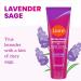 Lume Whole Body Deodorant Plus Sweat Control - Smooth Cream Tube - 72 Hour Odor And Sweat Control - Baking Soda Free Skin Loving - 3.0 ounce (Pack of 2) (Lavender Sage) - Buy Online on GoSupps.com