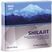 Natural Shilajit in Tablets 2 Packs of 60 Tablets (Total 120 Tablets) Golden Shilajit label - Buy Online on GoSupps.com