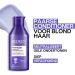 Redken Routine For Blonde and Bleached Hair Set of Shampoo and Conditioner Corrects and Neutralizes Yellow and Copper Tones With Triple Acid Protein Complex Blondage - Buy Online on GoSupps.com