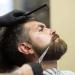 Candure Professional Beard and Moustache Scissors - Stainless Steel Trimming Scissors for Ear, Nose, Eyebrows, and Eyelashes - Buy Online on GoSupps.com