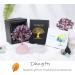 Xiannvxi Crystals Tree of Life Decoration | Amethyst & Rose Quartz Feng Shui Bonsai | Natural Gemstone Happiness Reiki - Buy Online on GoSupps.com