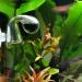 WEAVERBIRD CO2 Drop Glass Checker Aquarium Fish Tank Carbon Dioxide PH Checker Tester Monitor Cylinder Concentration Detector - Buy Online on GoSupps.com