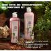 Onion Biotin & Rosemary Shampoo | Hair Growth Treatment for Thicker Stronger Hair | 500 mL Hair Care Set - Buy Online on GoSupps.com
