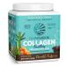 Collagen Peptides Powder with Biotin & Hyaluronic Acid | Vegan Protein Powder for Skin Hair Nail Support Plant Based Keto Non GMO Gluten Free | Chocolate Collagen Powder by Sunwarrior Chocolate 1.1 Pound (Pack of 1)