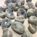 1PC Random Natural Raw Blue Celestite Quartz Crystal Cluster Stones Specimen Home Decoration Crafts Ornament Druzy Geode FZUGEDRLI (Size : 1pc Random 20 50g) - Buy Online on GoSupps.com