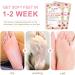 Premium Foot Mask - 2 Pairs Exfoliating Peeling Socks for Dry Skin Removal & Moisturizing Treatment - Buy Online on GoSupps.com