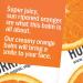 Hurraw! Orange Lip Balm .15 oz - Natural Hydrating Lip Care - Buy Online on GoSupps.com