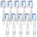 Compatible with Seago SG513/SG977/SGEK6/DT-K6 Electric Toothbrush Replacement Brush Heads for Seago Kids Electric Toothbrush 3+Years with dust Cover 10 Pack (Blue Medium) Blue 1 Count (Pack of 10)