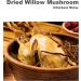 Dried Shitake Mushrooms Willow Mushrooms 100g Vegan - Buy Online on GoSupps.com