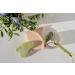 Face Massager Roller | 100% Natural Jade Roller & Gua Sha Set | Anti-Aging Skin Care Soothing Firming (Stone Green - Buy Online on GoSupps.com