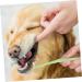 BESPORTBLE 1pc Pet Single Head Toothbrush Dog Toothbrush and Toothpaste Teeth Care Brush Cleaning Kits Plastic 1 count (Pack of 1) Random Color - Buy Online on GoSupps.com