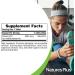 NaturesPlus Shot-O-B12 5000 mcg Sustained Release - Vegetarian B12 Supplement for Memory & Energy - Gluten-Free (60 Tablets) - Buy Online on GoSupps.com