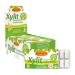 Birch gold xylitol chewing gum green mint |24 pcs. Blister |Dental care chewing gum |Sugar -free |High xylitol content 70% |Vegan |Without titanium dioxide |Without aspartam |sugar-free