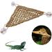 Hammock Triangular/Rectangle Bearded Dragon Hammock Bed 100 Natural Seagrass Lounger with Suction Cup for Bearded Dragons Geckos - Buy Online on GoSupps.com