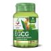 Colours of Life Green Tea EGCG - Suppl ment de th vert - pour l' quilibre du poids corporel et le drainage des fluides - sans gluten et v g talien 60 g lules v g tariennes