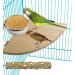Stainless Steel Bird Feeding Dish Cups - Set of 3 | Bird Feeder for Parrot, Cockatiel, Conure, Budgies | Pet Cage Water and Food Bowls with Clamp - Buy Online on GoSupps.com