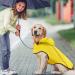 BiPawTi Waterproof Hooded Dog Raincoat - Reflective Safety Jacket for Small, Medium, Large Dogs - Yellow, Medium - Buy Online on GoSupps.com