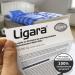 Buy Ligara Pleasure Pills for MSV Duisburg Fans | Peppermint Libido Boost | Single Dose for Increased Desire After Defeats - Buy Online on GoSupps.com