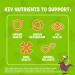 FLINTSTONES Kids Multivitamin Gummies Plus Immunity Support- Multivitamins for Kids Kids Multivitamin Gummy With Zinc and Extra Vitamin C Free of Artificial Sweeteners Free of Aspartame Free of Synthetic FD&C Dyes 60 Gummies - Buy Online on GoSupps.com