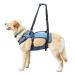 COODEO Dog lifting harnesses support and recreation loops pet rehabilitation lifting nerves adjustable breathable straps for old disabled people joint injuries (m) m blue