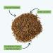 Jan-Pet Premium Mealworms 1kg - Dried Bird & Animal Feed for Wild Birds Hedgehogs Squirrels Hamsters Chickens & Fish - Buy Online on GoSupps.com