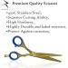 Razease Hairdressing Scissors Professional Barber Scissors Set|Titanium Coating J2 420c 6.5" Stainless Steel Hair Cutting Scissors Kit| Hairdressers Scissors for Salon Men Women | Hair Scissors(Gold) - Buy Online on GoSupps.com