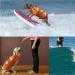 Wallpage Dog Pet Swimming Vest - Adjustable Lifesaver Bathing Suit for Small Medium & Large Dogs - Orange - Buy Online on GoSupps.com