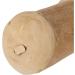 goodWood Chewable Wood Stick For Dogs - Medium - Buy Online on GoSupps.com