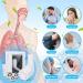 Breathing Exercise Device for Lungs - Drug-Free Lung Exerciser with Steel Balls for Mucus Relief & Phlegm Clearance - Shop Now - Buy Online on GoSupps.com