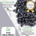  1001 Frucht 1001 Frucht Organic Dried Aronia Berries 250g | Untreated fruity dried fruit from controlled non-GMO cultivation vegan | Unsweetened Austrian Aronia Berries no additives - Buy Online on GoSupps.com