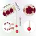 HINZIC 2pcs Crystal Rhinestone High Ponytail Hair Clips Set - Rose Hair Barrettes for Women and Girls | Chinese Hair Accessories - White Red - Buy Online on GoSupps.com