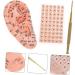 Hemoton 4 Sets Auricular Tools - Ear Acupressure Kit with Magnet Ear Beads Patch - Silicone & Aluminum Alloy - Assorted Colors - 4pcs - Buy Online on GoSupps.com