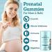 Prenatal Gummies Sugar Free 90 Count - Organics Prenatal Vitamins for Women with Folate DHA & Probiotics - Iron Free Prenatal Vitamin Gummies for Immune & Digestive - 1 Bottle 90 Count (Pack of 1) - Buy Online on GoSupps.com