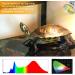 Turtle Heat Lamp - 6 Pack 50W UVB Dimmable Halogen Bulbs for Reptiles Lizards & Amphibians - E27 220-240V - Buy Online on GoSupps.com